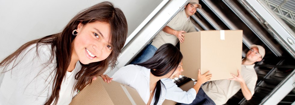 Professional Removalists London Lakes